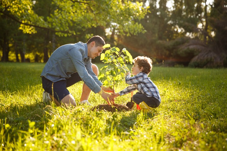 Parent and child planting tree INTENSIVE OUTPATIENT Treatment